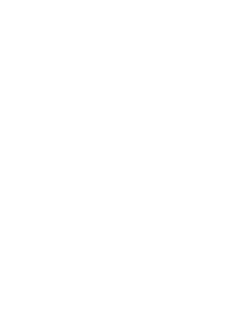 The BusLink