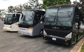 Three buses lined up in a parking area.